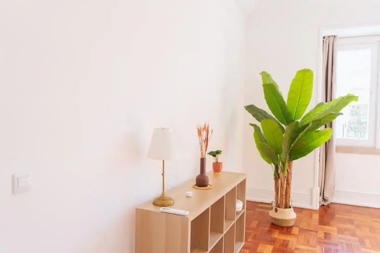 Espaço acolhedor com candeeiro, plantas e luz natural — consultórios para alugar em Lisboa